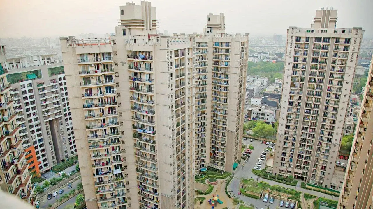 Society Redevelopment